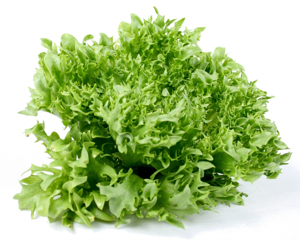 Frillice Salat - 1 stk. - Salater, Spinat og Bladgrønt ...