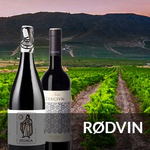 Rødvin