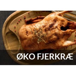 Økologisk fjerkræ fra Gothenborg. Prisvindende dansk kvalitetsfjerkræ når det er bedst